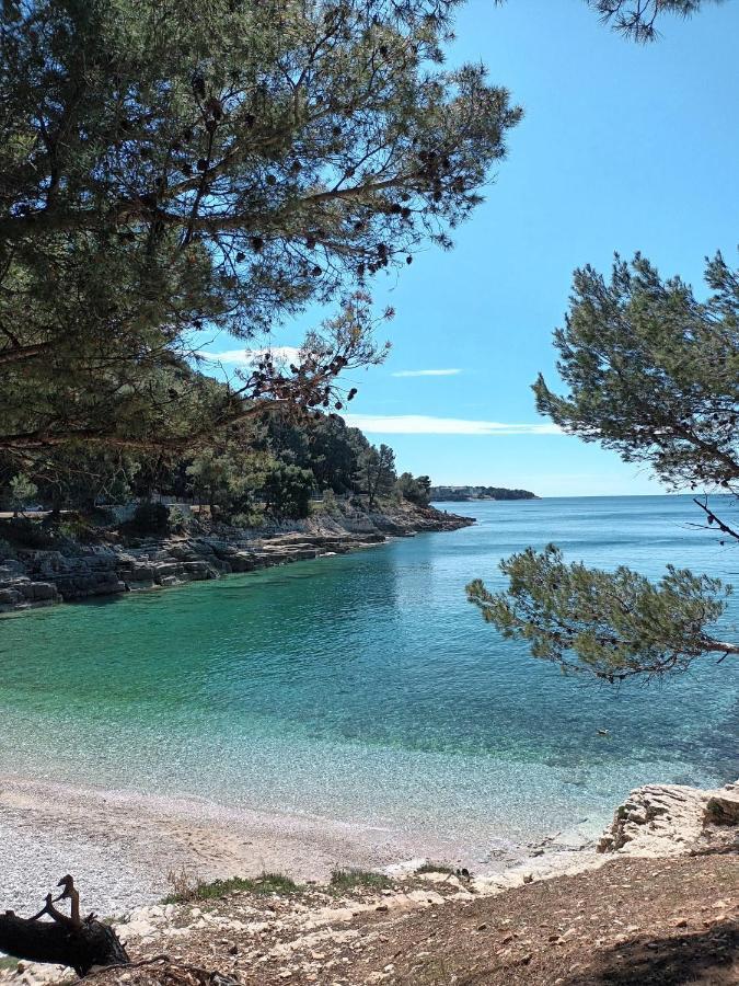 Villa Sarah Μεντουλίν Εξωτερικό φωτογραφία